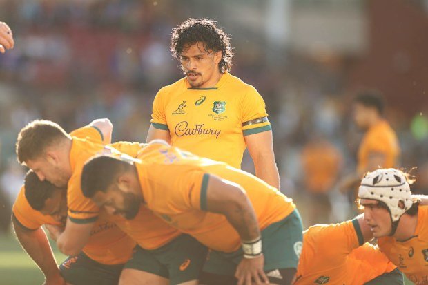 Pete Samu of the Wallabies watching the scrum.