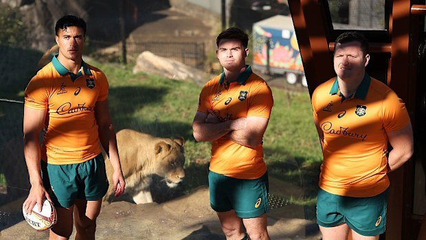 Joseph-Aukuso Suaalii, Andrew Kellaway, and Angus Bell next to a lion.