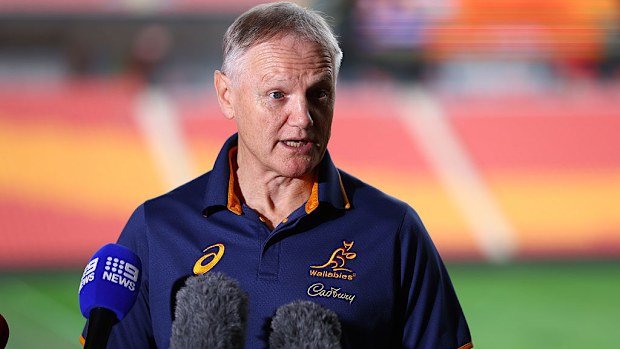 Wallabies coach Joe Schmidt speaks to the media.