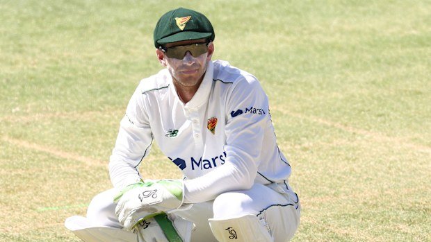 Tim Paine playing for Tassie in the Sheffield Shield.