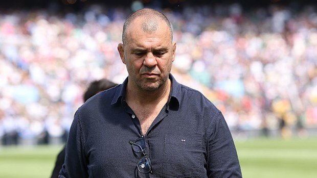 Michael Cheika at Allianz Stadium.